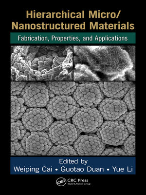 cover image of Hierarchical Micro/Nanostructured Materials